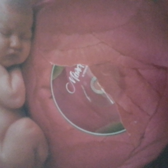 Anne Geddes & Celine Dion MIRACLE A Celebration of New Life hardcover book - Picture 7 of 8